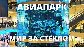 АКВАРИУМ РЕКОРДНЫХ РАЗМЕРОВ В ТРЦ АВИАПАРК! РЫБОК КОРМЯТ ПРЯМО С РУК! НЕВЕРОЯТНАЯ КРАСОТА!