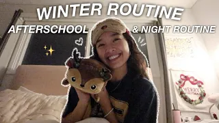 WINTER AFTERSCHOOL & NIGHT ROUTINE | Vlogmas Day 6!