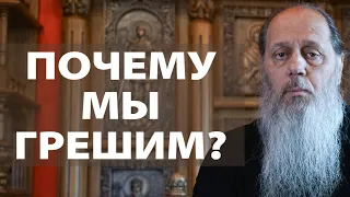 Почему мы грешим, если Господь искупил наши грехи?