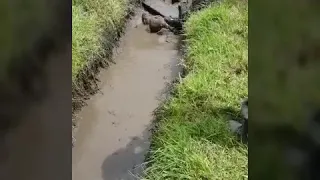 Entrenamiento militar (ECUADOR)!