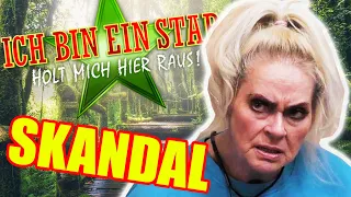 Dschungelshow 2021: PROMILLE-SKANDAL! Geht RTL zu weit?
