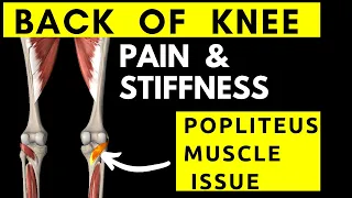 Back of knee pain/stiffness? Popliteus muscle tightness