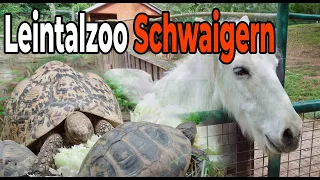 Zoo Leintal: A great trip for the whole family!