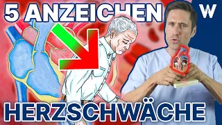 Herzschwäche: Treten diese Anzeichen bereits auf? Typische Symptome von Herzinsuffizienz erkennen