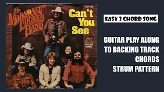 CANT you see - Marshall tucker band - guitar play along to backing track