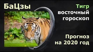 БАЦЗЫ. Прогноз на 2020  год крысы  для людей,  рожденных  в год ТИГРА