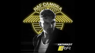 2017 RAF Camora - Sag Nix
