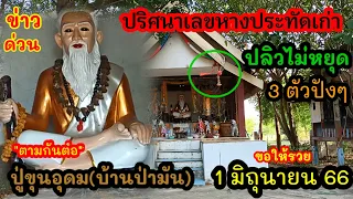 "ขอกันต่อ"หางประทัดปลิวไม่หยุด-ปู่ตั้งใจให้เห็นชัดๆ3ตัวปังๆ#ปู่ขุนอุดมบ้านป่ามัน งวดนี้ 1 มิถุนายน66