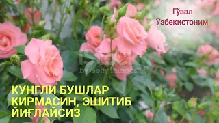 КУНГЛИ БУШЛАР КИРМАСИН ЙИҒЛАЙСИЗ, #Барно отинойимиздан эшитинг