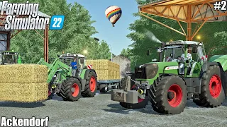 Harvesting WHEAT, Baling and Collecting STRAW Bales│Ackendorf│FS 22│2