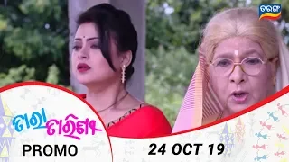 Tara Tarini | 24 Oct 19 | Promo | Odia Serial – TarangTV