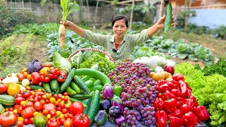 Peaceful Home Garden: The Interesting Journey Of Harvesting Fruits And Vegetables