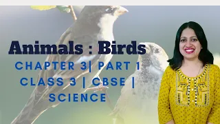 CBSE | Class 3 | Science | Animals : Birds | Video Explanation - Part 1