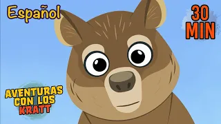 ¡Buenos Dias, Mundo! | Marmotas y Otros Animales | Aventuras con Los Kratt