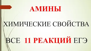 Амины. Химические свойства. Все 11 реакций ЕГЭ.