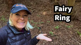 360 - What is a fairy ring?