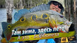 🇧🇷 Fishing Rio Negro, Brazil. My first ever casting tackle! Peacock bass in Amazonia