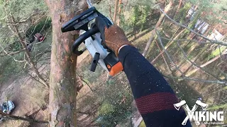Wycinka drzew - sekcyjne skracanie czubów i gałęzi | VIKING - Alpinistyczna wycinka drzew