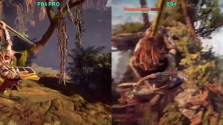 Horizon Zero Dawn - PS4 pro vs 1080p PS4