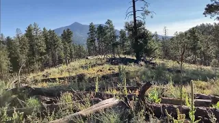 Camping and Elk Hunting Arizona’s high county near Flagstaff