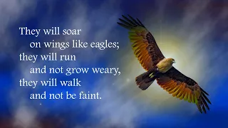 Soar on wings like eagles (Isaiah 40:28-31)