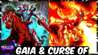 Yu-Gi-Oh! Gaia The Fierce Knight & Curse Of Dragon Archetype