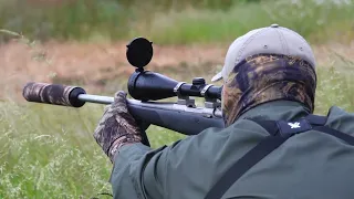 Roe Deer In Britain With 4Stable Sticks, June 2023, Mark Ragless V1