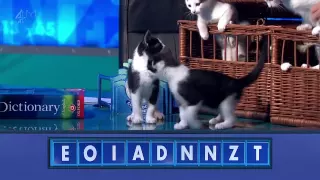 8 Out Of 10 Cats does Countdown: 4