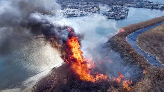 LARGE BRUSH FIRE on ISLAND Manasquan Inlet Point Pleasant Beach, New Jersey 1/26/22