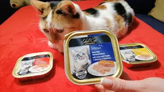 Реакция кошки на новый корм/Самый вкусный корм для кошки Edel Cat