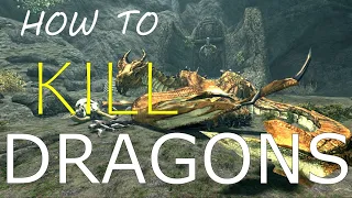 Skyrim SE Legendary: How To Kill Dragons (1-H & Shield) | 2022