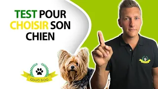 Comment choisir son chien ? Faites ces tests simples et GRATUITS