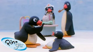 Pingu is Thankful 🐧 | Pingu - Official Channel | Cartoons For Kids