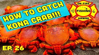 How to Catch Kona Crabs in Hawaii...ON FIRE FISHING HAWAII, EP. 26 ,