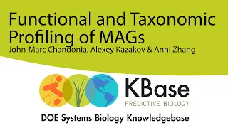 Functional and Taxonomic Profiling of MAGs - 7 July 2021