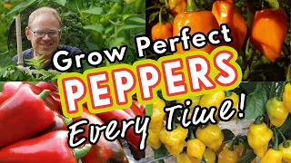 Grow Perfect Peppers Every Time! 🌶