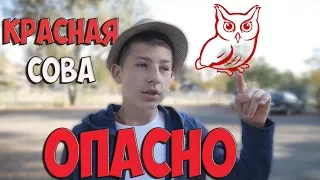 КРАСНАЯ СОВА! ХУЖЕ ЧЕМ СИНИЙ КИТ! ВСЯ ПРАВДА ПРО ИГРУ