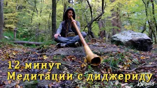 12 минут медитации с диджериду | 12 minutes didgeridoo meditation