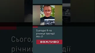 Сегодня 9-я годовщина трагедии MH-17