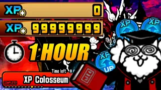 The Battle Cats - How to get 99 Millions XP within an Hour?!! (XP Colosseum farming)