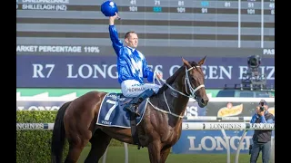 Winx - ALL 43 Races (2014 - 2019)