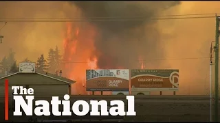 Fort McMurray wildfire prompts state of emergency