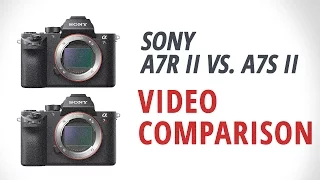 Video Comparison | Sony a7R II vs. a7S II - Part 2