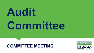 Audit Committee - 26 July 2022.