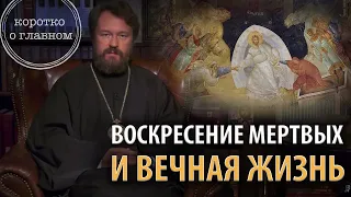 ВОСКРЕСЕНИЕ МЕРТВЫХ И ВЕЧНАЯ ЖИЗНЬ. Цикл «Православное вероучение»