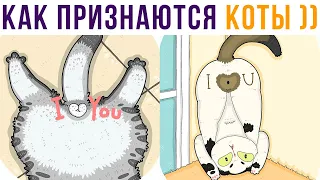 КАК КОТЫ ПРИЗНАЮТСЯ В ЛЮБВИ))) Приколы с котами | Мемозг 695