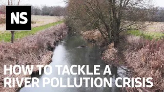 River pollution: How to tackle the "chemical cocktail" in England's waterways