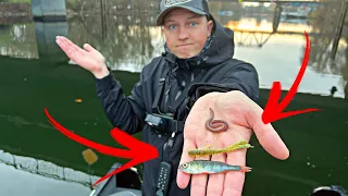 Wurm vs. Köderfisch vs. Gummi - Welcher Köder fängt am besten? (Überraschendes Ergebnis)