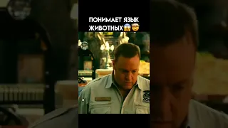 НАЗВАНИЕ ФИЛЬМА В КОММЕНТАХ ✅ #фильм #чудо #зоопарк #комедия #shorts