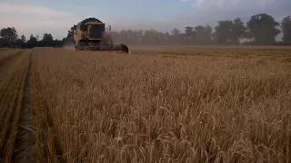 Żniwa 2016 na Dolnym Śląsku / New Holland / Zetor